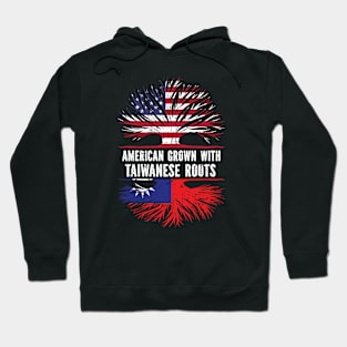 American Grown with Taiwanese Roots USA Flag Hoodie